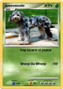 aussiedoodle