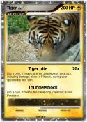 Tiger