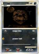 rat