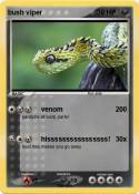 bush viper