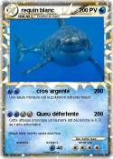 requin blanc