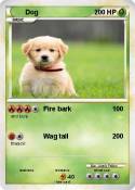 Dog