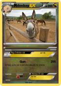 donkey