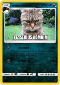 angry werecat