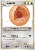 NUCLEUS