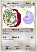 NUCLELOUS