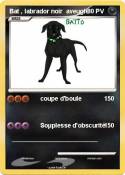 Bat , labrador