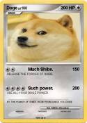 Doge