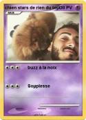 chien stars de