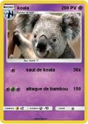 koala