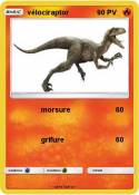 vélociraptor&nbsp;(...)