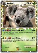koala ex