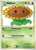 Sunflower