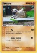 flying pug