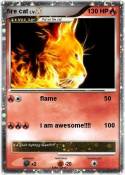 fire cat