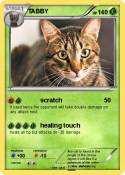 TABBY