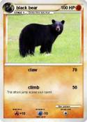 black bear