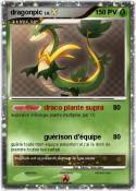 dragonpic