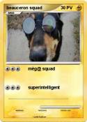 beauceron squad