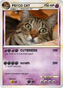 PSYCO CAT