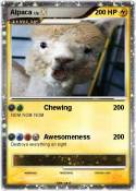 Alpaca