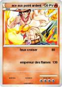 ace aux point