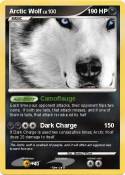Arctic Wolf