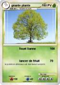 géante plante