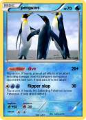 penguins