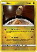 Bird