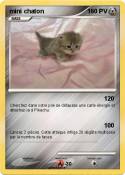 mini chaton