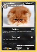 Grumpy kitten