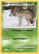 berger allemand