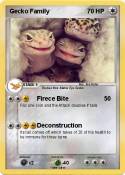 Gecko Family