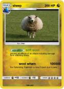 sheep
