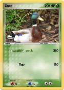 Duck
