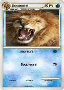 lion mortel