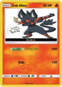 Dab litten