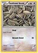 Sunflower Seeds