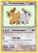 The Eevee Twins
