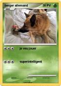 berger allemand