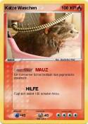 Katze Waschen