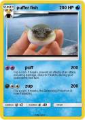 puffer fish