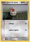 chatte glace à