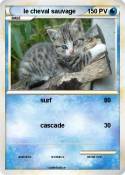 le cheval sauva
