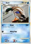 Duck