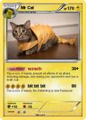 Mr Cat