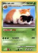 kitty cat