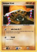 bumper Knol