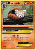 red panda